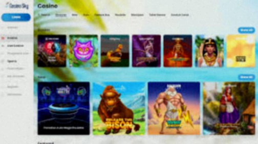 Casinosky casino app